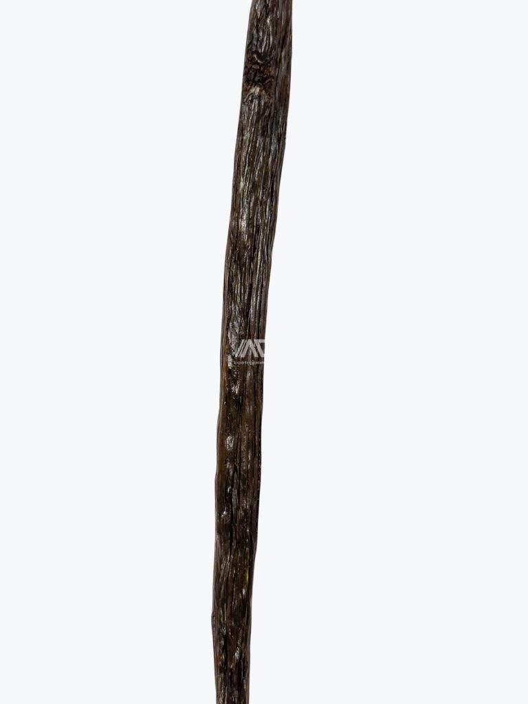 Planifolia Grade A