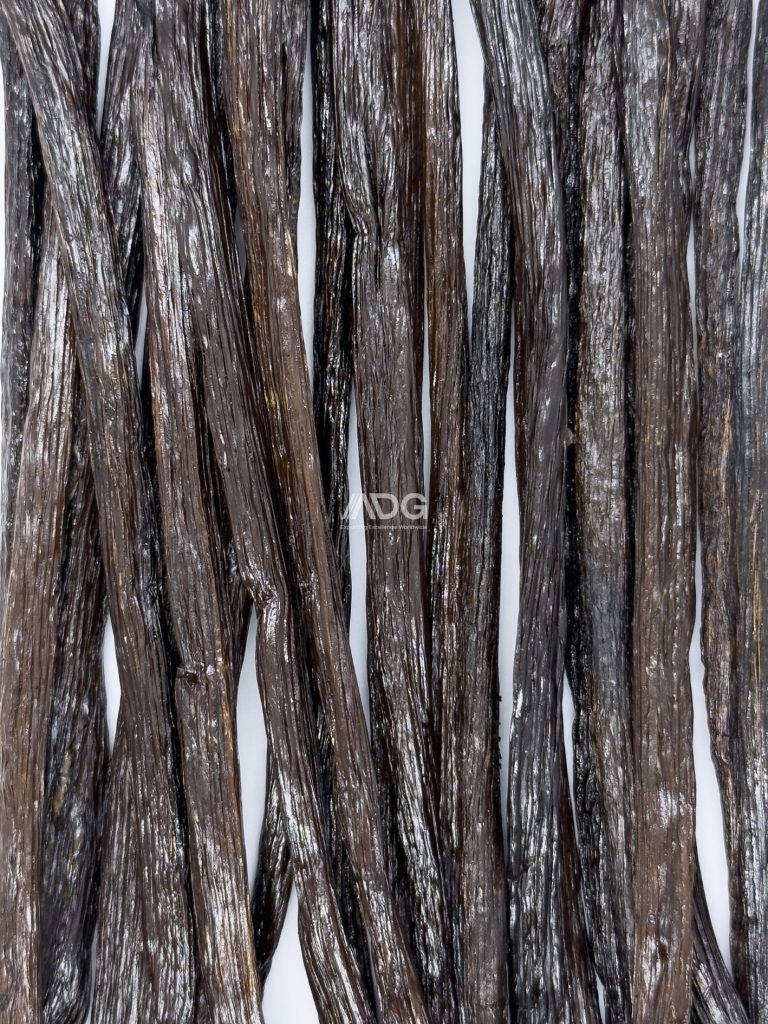 Planifolia Grade B