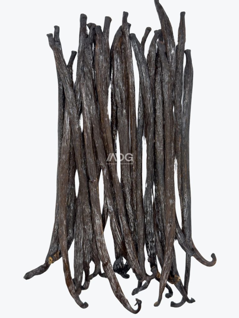 Planifolia Grade B
