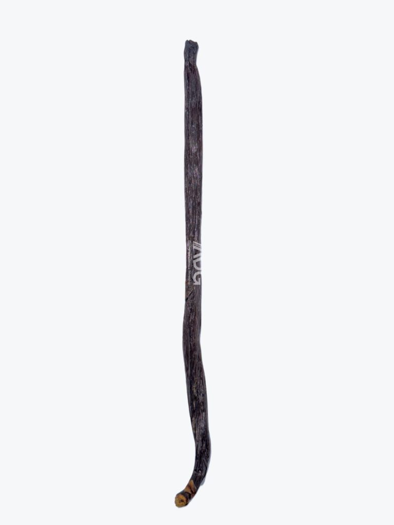 Planifolia Grade B