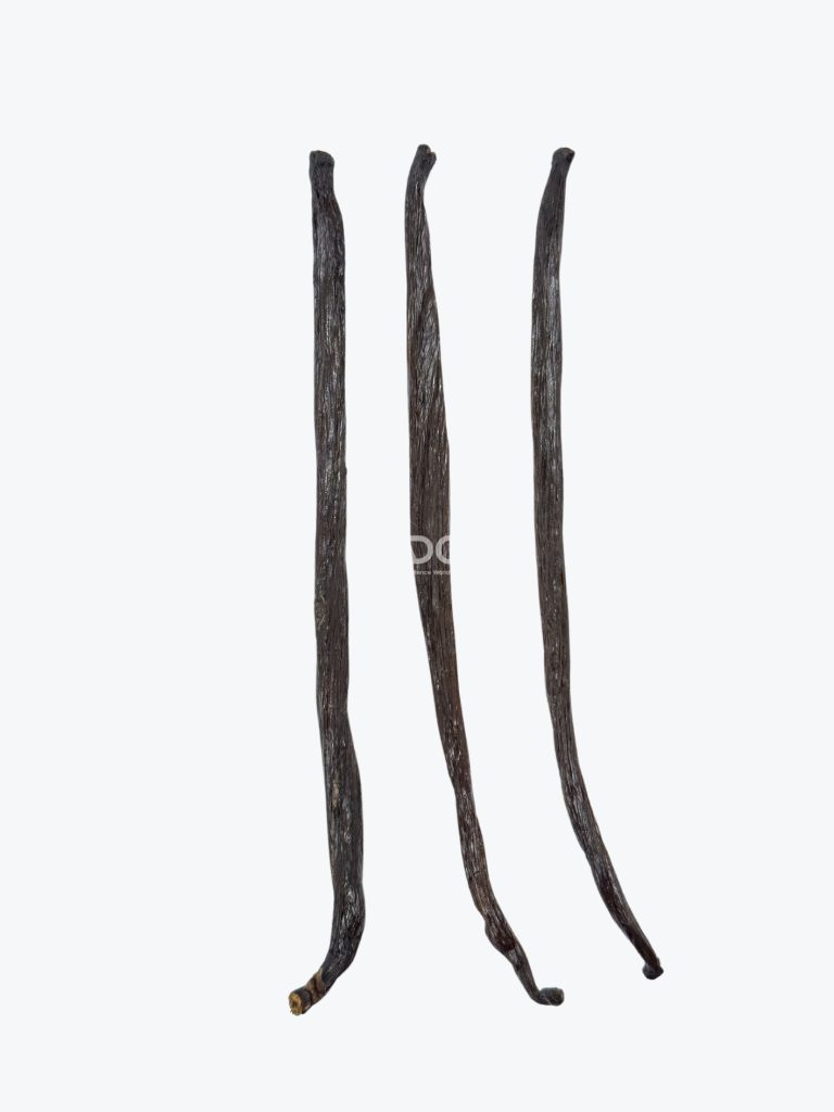 Planifolia Grade B