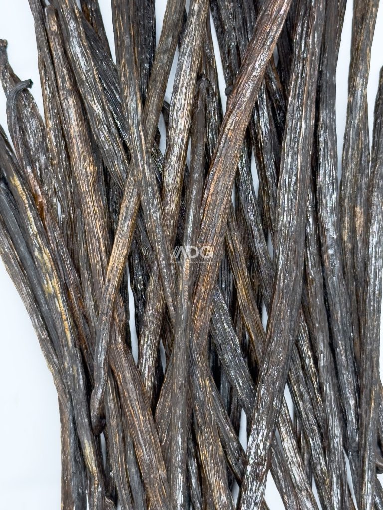 Planifolia Grade C