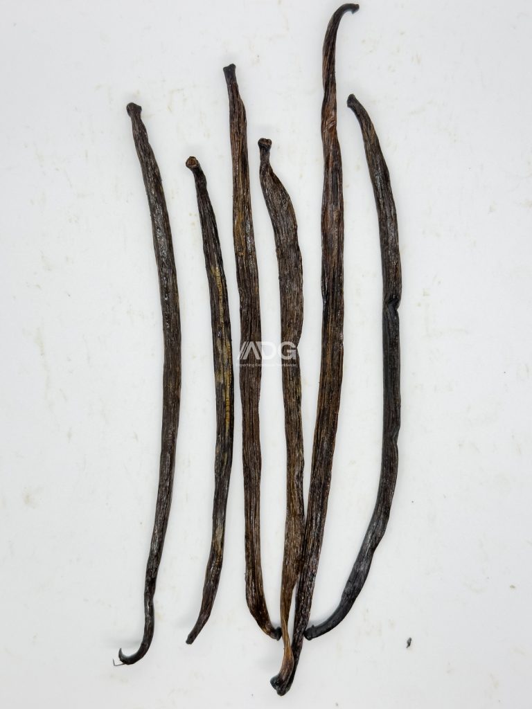 Planifolia Grade C