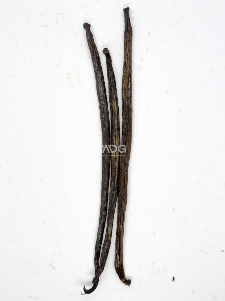 Planifolia Grade C