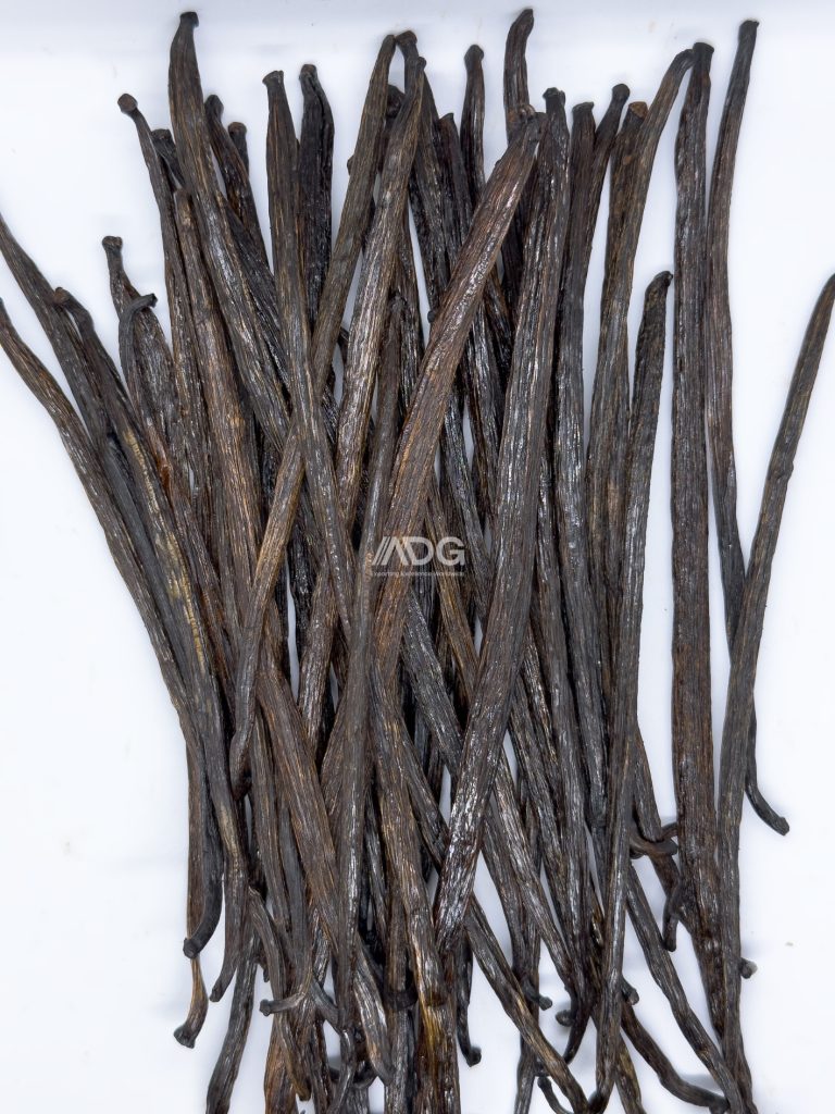 Planifolia Grade C
