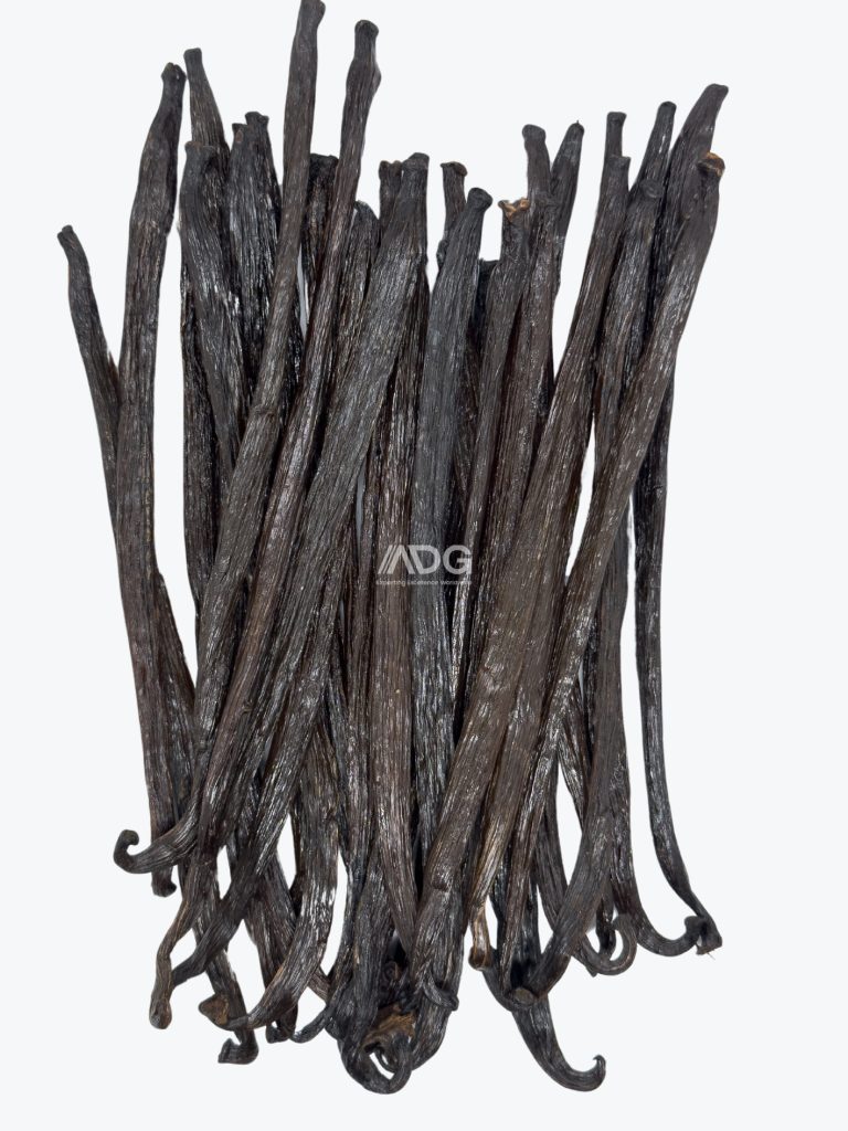 Tahitensis Grade B