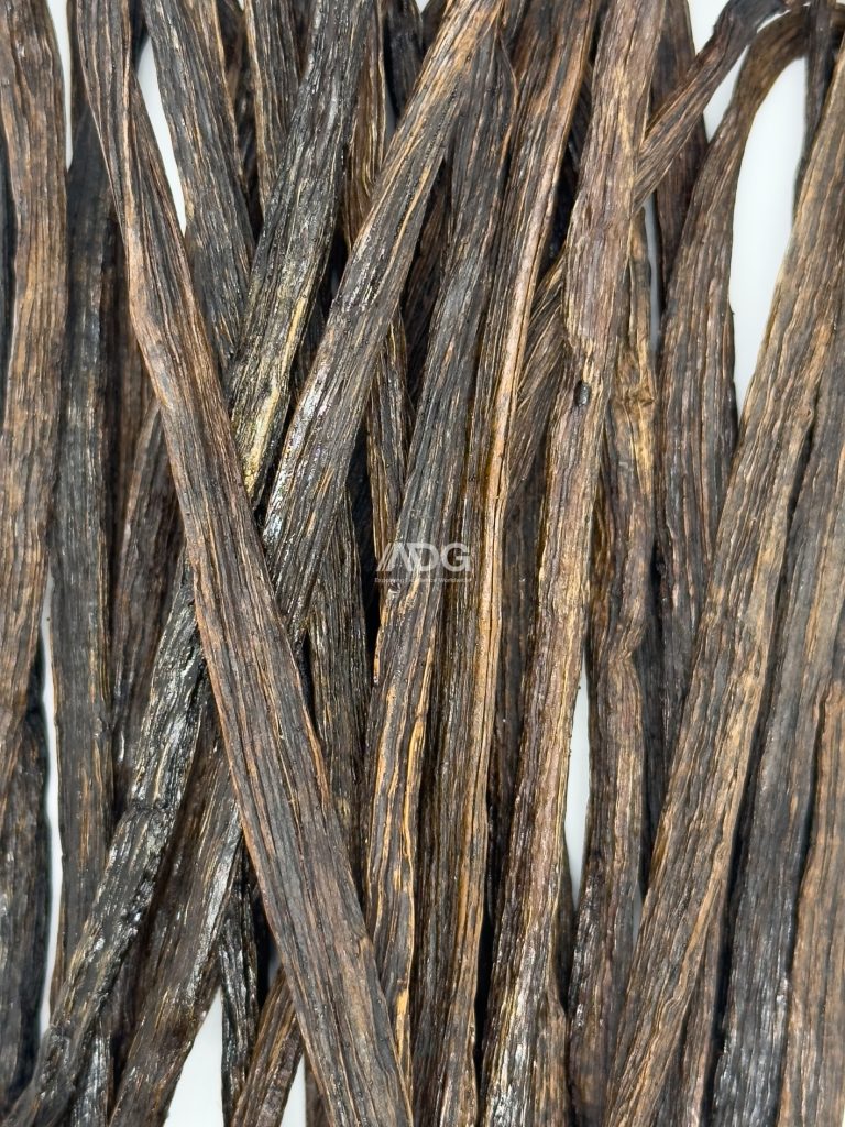 Tahitensis Grade C